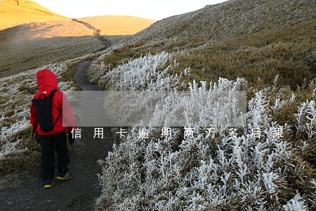 信用卡逾期两万多后果 信用卡逾期两万多后果
