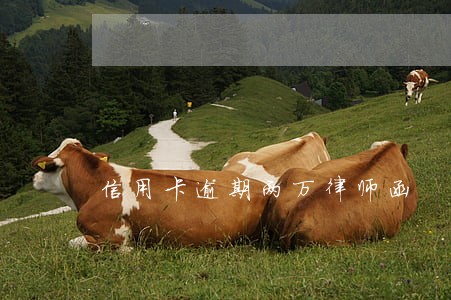 信用卡逾期两万律师函 信用卡逾期两万律师函