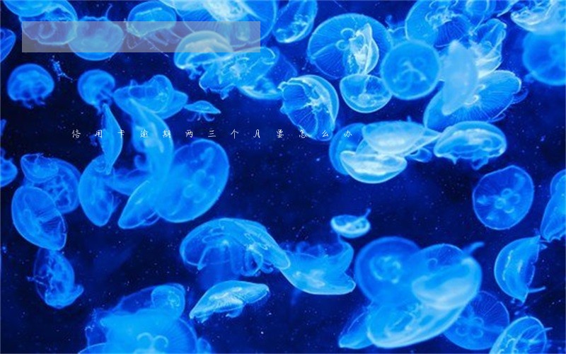 信用卡逾期两三个月要怎么办 信用卡逾期两三个月要怎么办