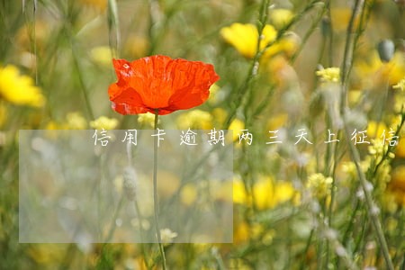 信用卡逾期两三天上征信吗