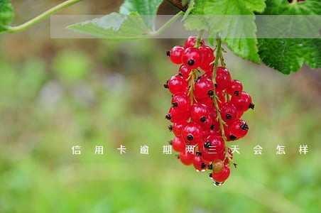 信用卡逾期两三天会怎样 信用卡逾期两三天会怎样