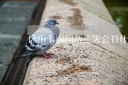 信用卡逾期两三天会有什么影响 信用卡逾期两三天会有什么影响