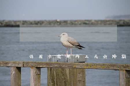 信用卡逾期两三天会降额度吗