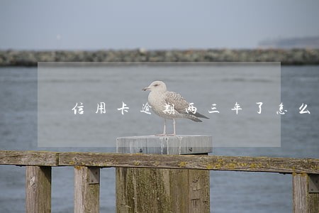 信用卡逾期两三年了怎么协商