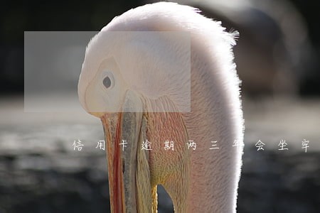 信用卡逾期两三年会坐牢吗 信用卡逾期两三年会坐牢吗