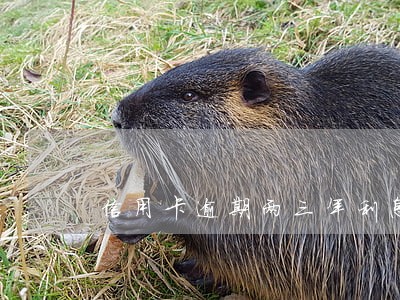 信用卡逾期两三年利息能减免吗