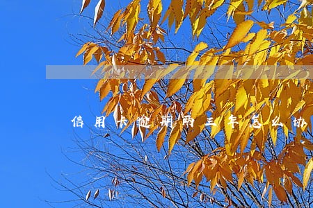 信用卡逾期两三年怎么协商