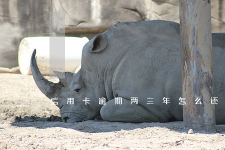 信用卡逾期两三年怎么还 信用卡逾期两三年怎么还