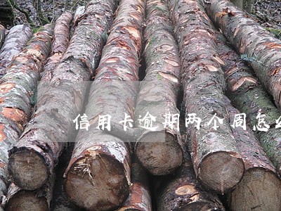 信用卡逾期两个周怎么办 信用卡逾期两个周怎么办