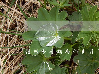 信用卡逾期两个多月了 信用卡逾期两个多月了