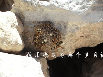 信用卡逾期两个多月被冻结