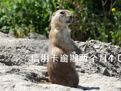 信用卡逾期两个月4000 信用卡逾期两个月4000
