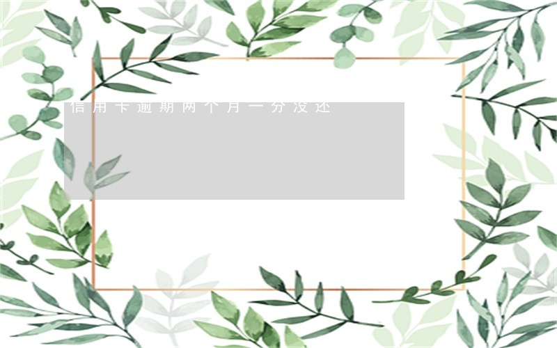 信用卡逾期两个月一分没还