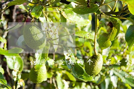 信用卡逾期两个月买房贷款 信用卡逾期两个月买房贷款