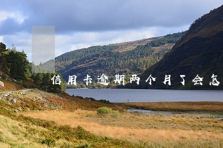 信用卡逾期两个月了会怎么样 信用卡逾期两个月了会怎么样