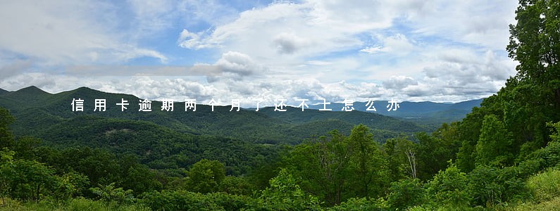 信用卡逾期两个月了还不上怎么办 信用卡逾期两个月了还不上怎么办