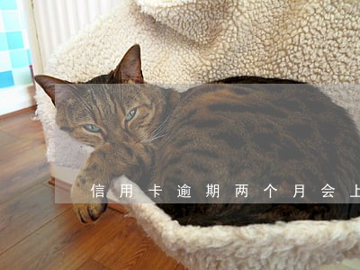 信用卡逾期两个月会上门催收 信用卡逾期两个月会上门催收