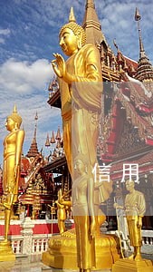 信用卡逾期两个月会不会被起诉诈骗 信用卡逾期两个月会不会被起诉诈骗