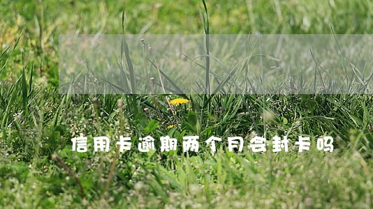 信用卡逾期两个月会封卡吗