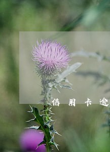 信用卡逾期两个月会怎么办 信用卡逾期两个月会怎么办
