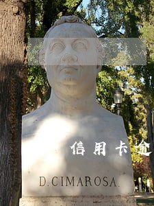 信用卡逾期两个月会成黑户吗