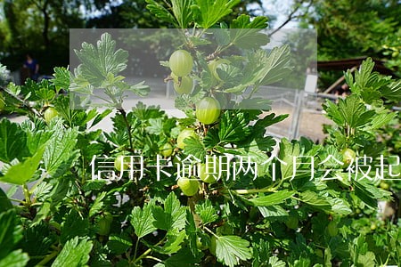 信用卡逾期两个月会被起诉吗 信用卡逾期两个月会被起诉吗