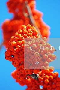 信用卡逾期两个月做牢 信用卡逾期两个月做牢