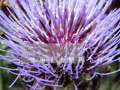 信用卡逾期两个月停卡了能开通吗 信用卡逾期两个月停卡了能开通吗