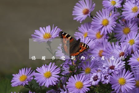 信用卡逾期两个月冻结 信用卡逾期两个月冻结