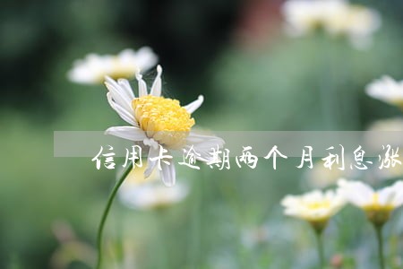 信用卡逾期两个月利息涨几千