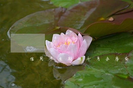 信用卡逾期两个月办房贷 信用卡逾期两个月办房贷