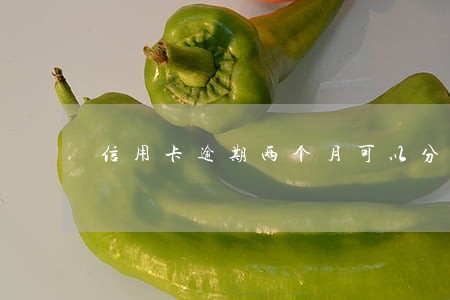 信用卡逾期两个月可以分期还吗