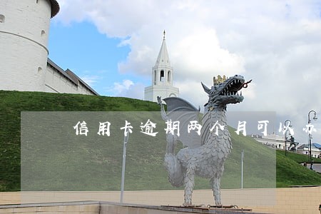 信用卡逾期两个月可以办吗