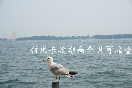 信用卡逾期两个月可以坐牢吗