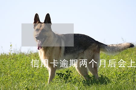 信用卡逾期两个月后会上征信吗 信用卡逾期两个月后会上征信吗