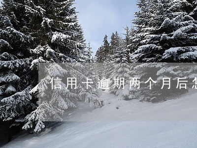 信用卡逾期两个月后怎么打电话