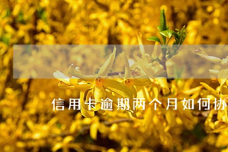 信用卡逾期两个月如何协商 信用卡逾期两个月如何协商