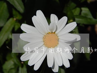 信用卡逾期两个月影响 信用卡逾期两个月影响