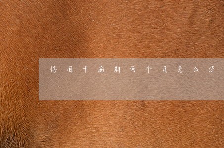 信用卡逾期两个月怎么还款 信用卡逾期两个月怎么还款