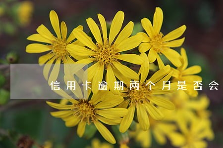 信用卡逾期两个月是否会上征信 信用卡逾期两个月是否会上征信