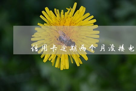 信用卡逾期两个月没接电话