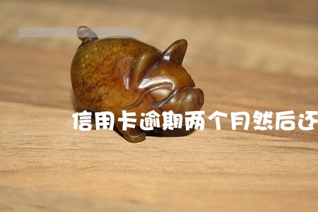 信用卡逾期两个月然后还清了 信用卡逾期两个月然后还清了