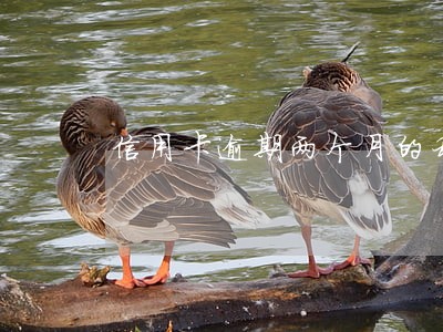 信用卡逾期两个月的利息 信用卡逾期两个月的利息