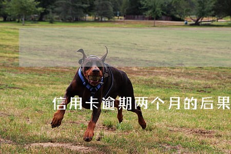信用卡逾期两个月的后果 信用卡逾期两个月的后果