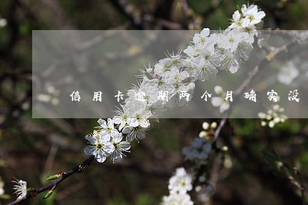 信用卡逾期两个月确实没钱还 信用卡逾期两个月确实没钱还