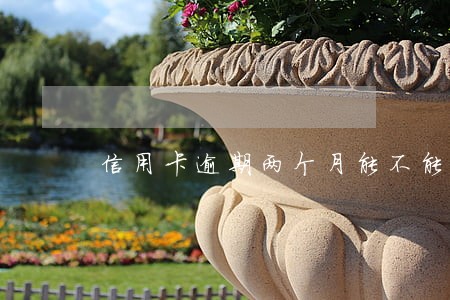 信用卡逾期两个月能不能贷款 信用卡逾期两个月能不能贷款