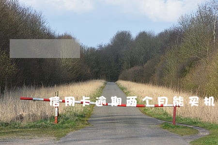 信用卡逾期两个月能买机票吗