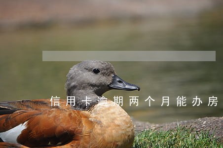 信用卡逾期两个月能办房贷吗 信用卡逾期两个月能办房贷吗