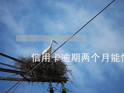 信用卡逾期两个月能慢慢还吗 信用卡逾期两个月能慢慢还吗