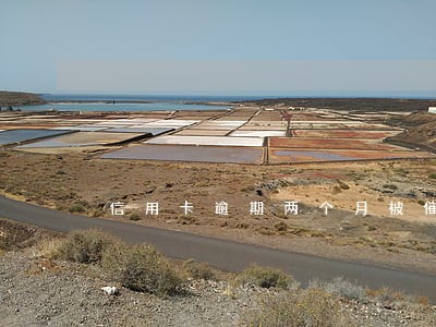 信用卡逾期两个月被催